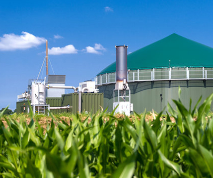 Solar Panel Maintenance